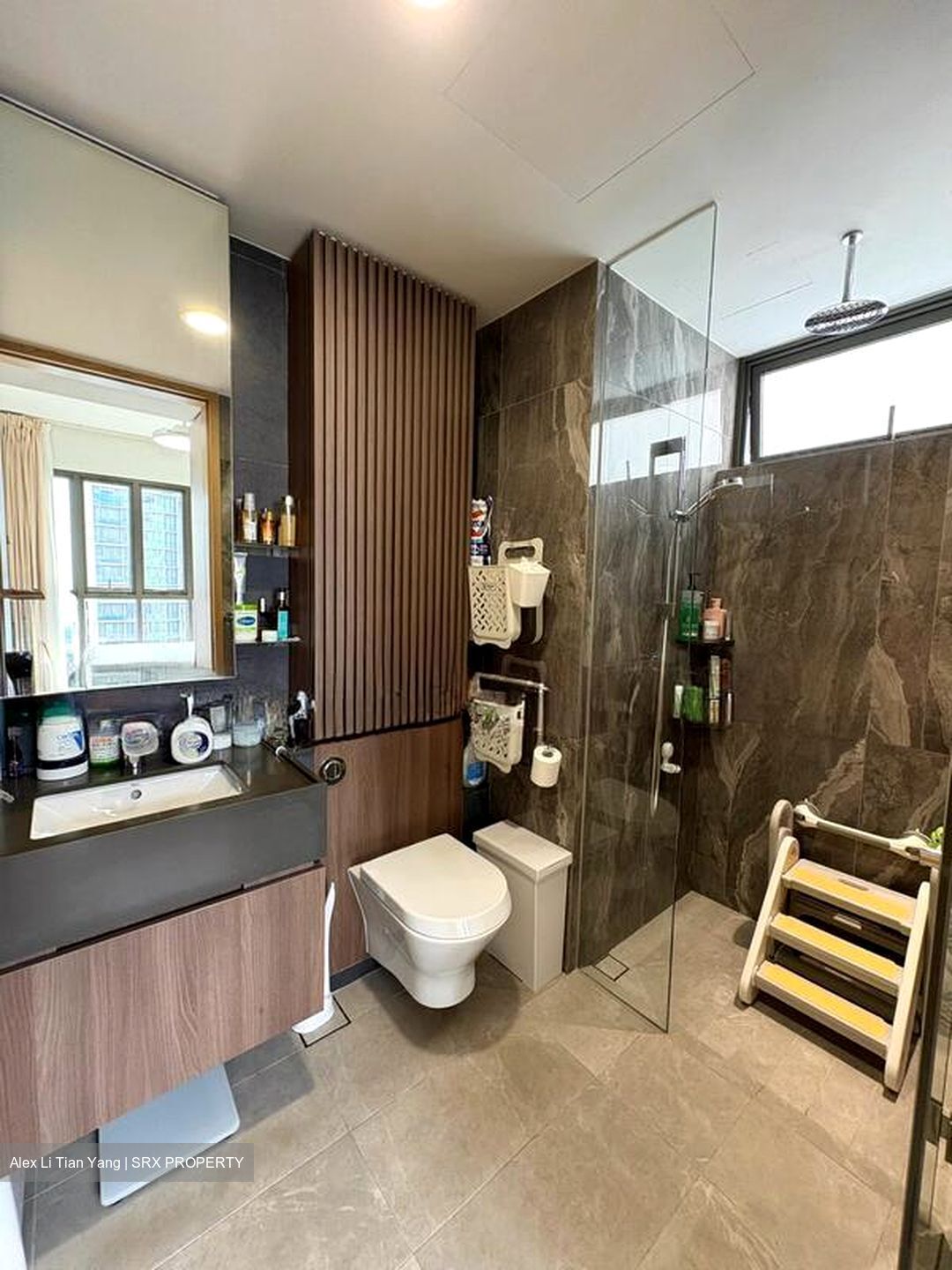 Midwood (D23), Condominium #520861951